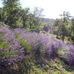 P1000577